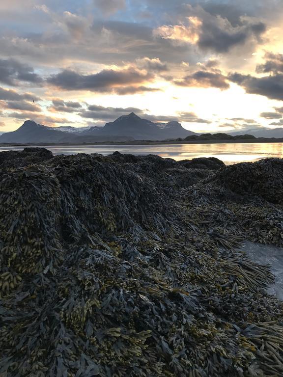 Framtid Camping Lodging Barrels Djúpivogur Buitenkant foto